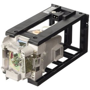 base_image_label-302420-OI64969